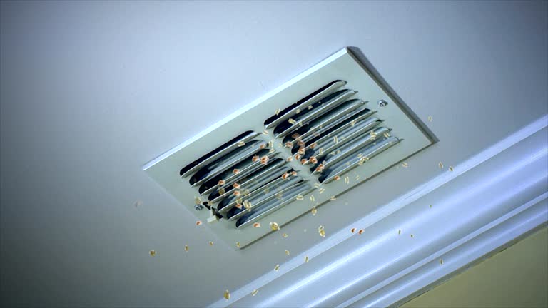 Best Air Vent Cleaning Services  in Lionville, PA